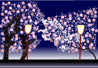 花見　夜桜
