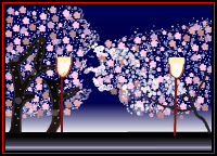 花見　夜桜1